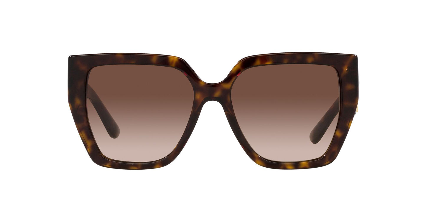 Dolce&Gabbana 0DG4438 502/13 Sunglasses