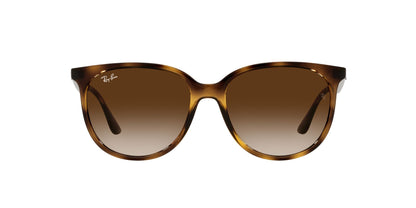 Ray Ban 0RB4378 710/13 Sunglasses