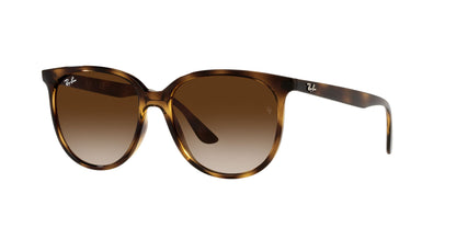 Ray Ban 0RB4378 710/13 Sunglasses