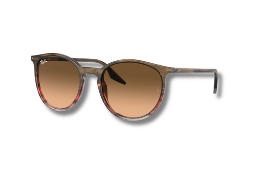 Ray Ban RB2204 13953B Sunglasses