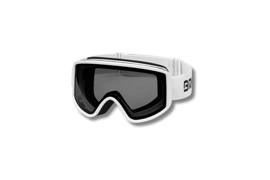 BRIKO 2002KZ0 (HOMER) 947 SKI GOOGLES