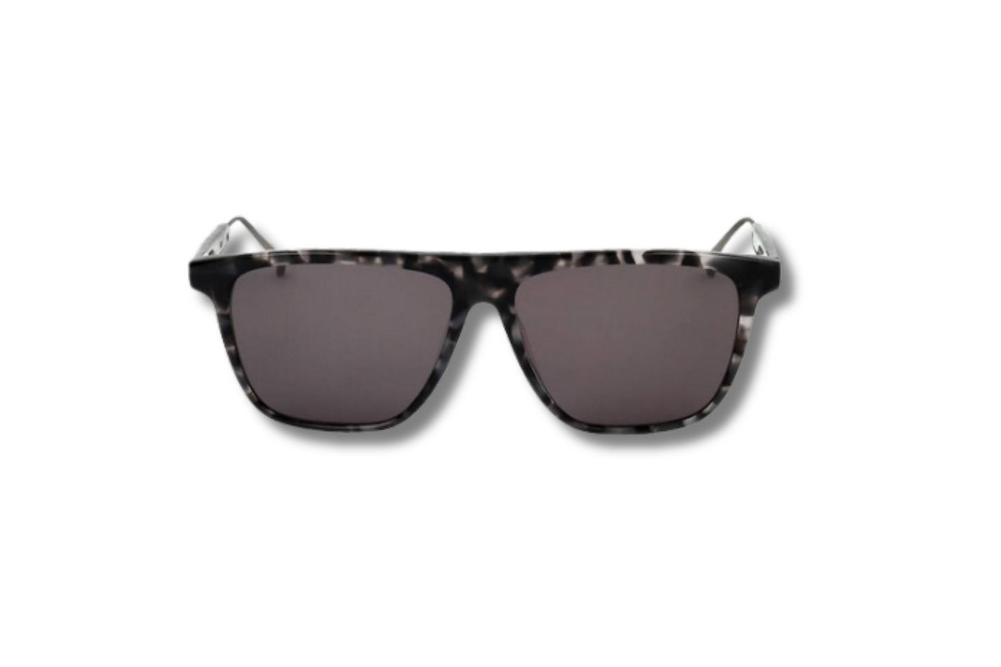 Sunglasses Sandro SD1018 207