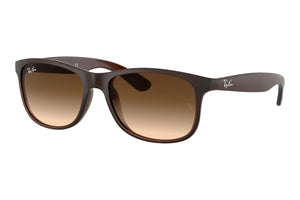 Ray Ban 0RB4202 607313 Sunglasses