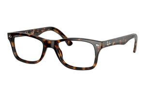 Ray Ban RB5228 2012 Frames