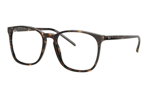 Ray Ban 0RX5387 2012 Frames